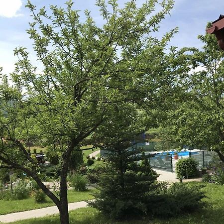 Apartments San - With Pool; Rakovica Exteriör bild